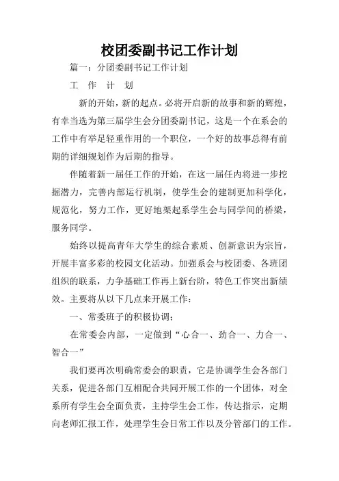 校团委副书记工作计划