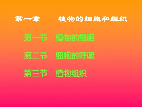 观赏植物学2章ppt课件