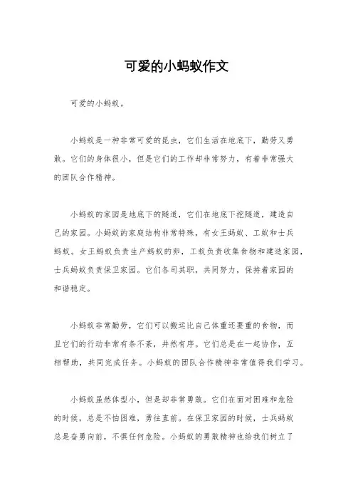 可爱的小蚂蚁作文
