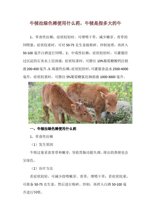 牛犊拉绿色稀便用什么药,牛犊是指多大的牛