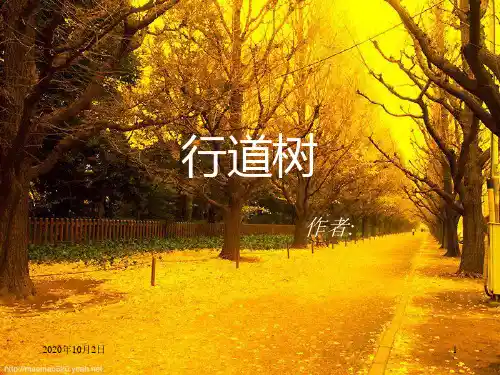 行道树 人教版七上精品PPT教学课件