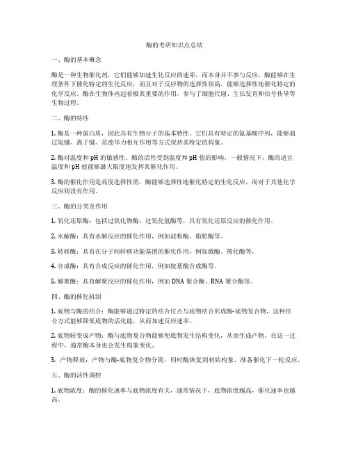 酶的考研知识点总结