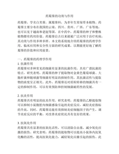 药蜀葵的功效与作用