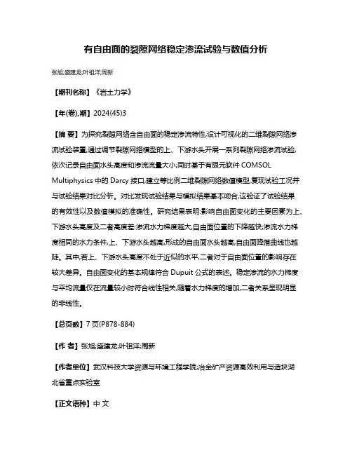 有自由面的裂隙网络稳定渗流试验与数值分析