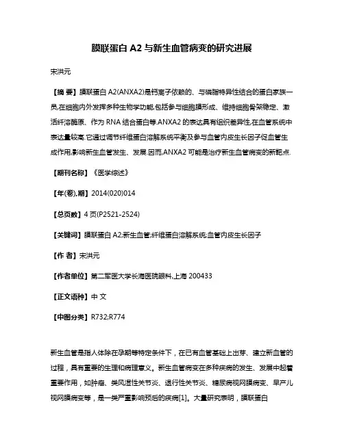 膜联蛋白A2与新生血管病变的研究进展