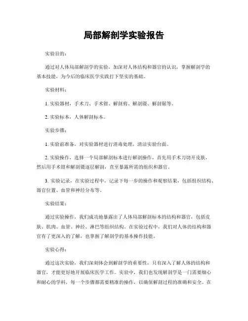 局部解剖学实验报告
