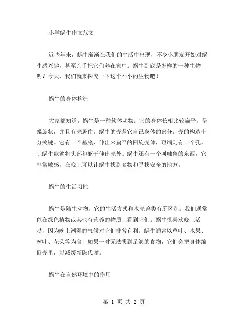 小学蜗牛作文范文