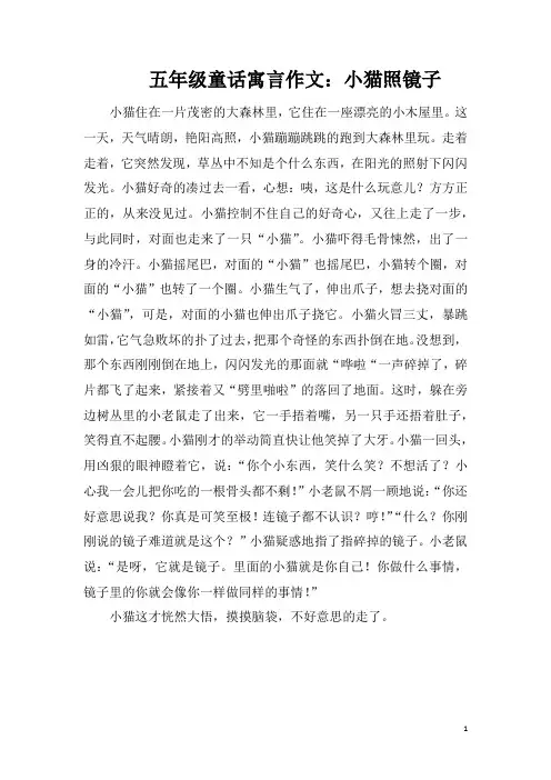 五年级童话寓言作文：小猫照镜子