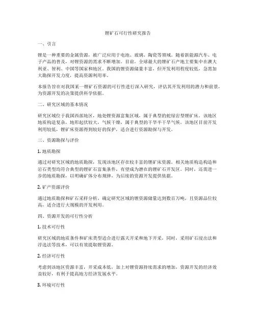 锂矿石可行性研究报告