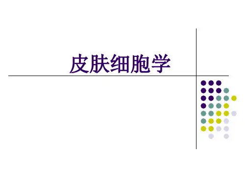 皮肤细胞学