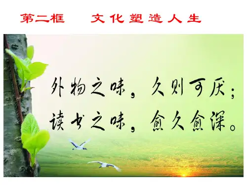 第二课   第二框 文化塑造人生PPT课件