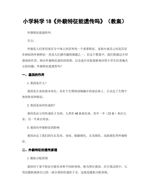 小学科学18《外貌特征能遗传吗》(教案)