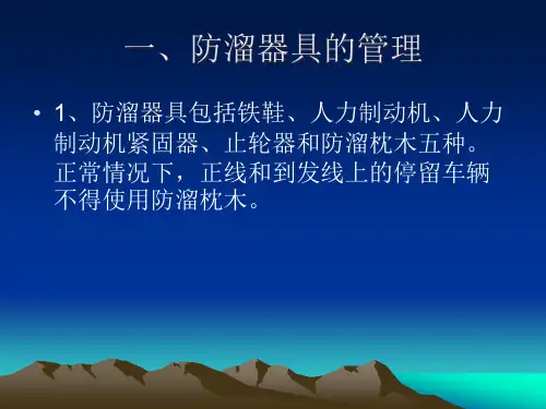 精选防溜安全管理细则