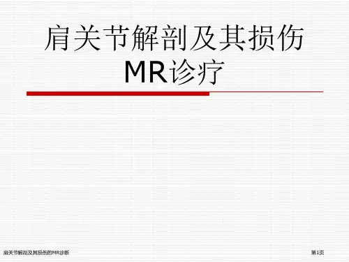 肩关节解剖及其损伤的MR诊断