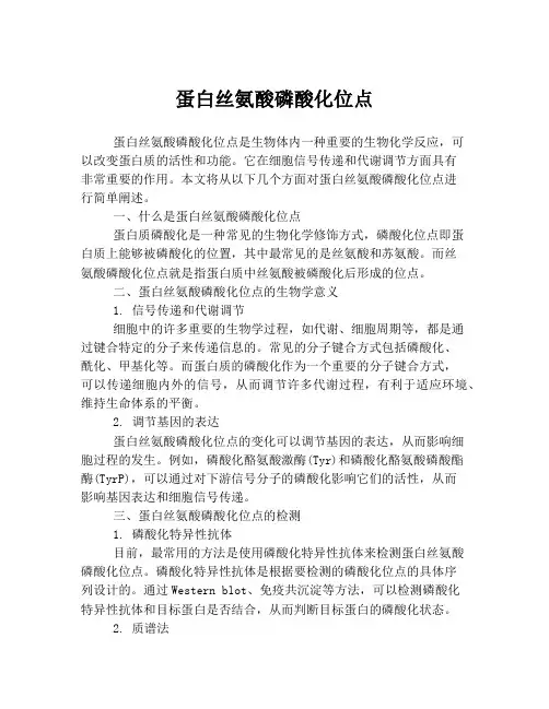 蛋白丝氨酸磷酸化位点