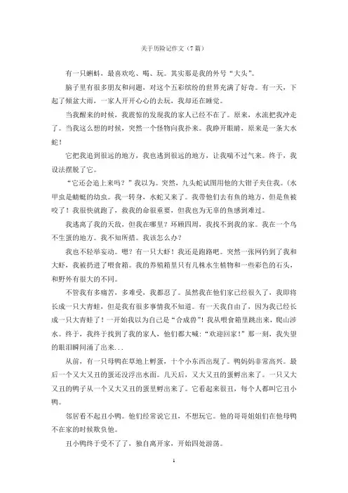 关于历险记作文(7篇)