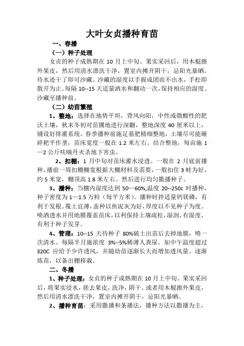 大叶女贞播种育苗