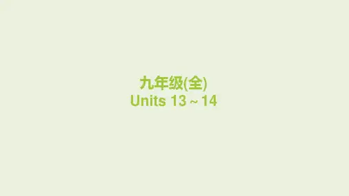 2024年中考人教版英语一轮复习 课件 九年级全一册 Units 13～14