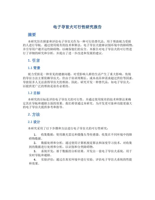 电子导盲犬可行性研究报告