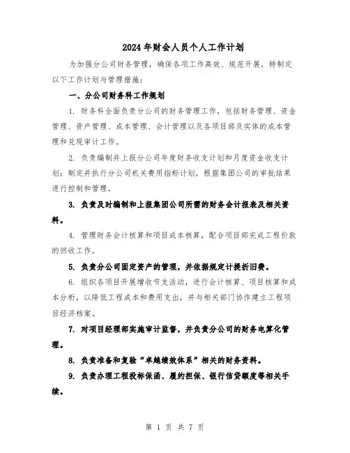 2024年财会人员个人工作计划（3篇）