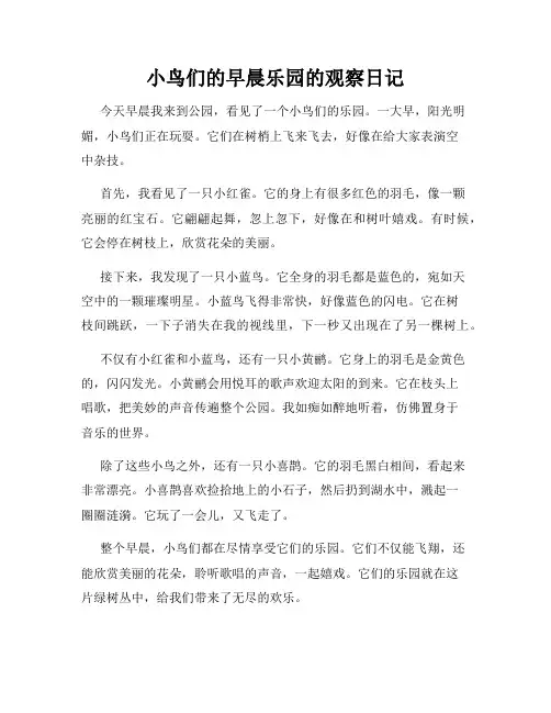 小学三年级作文小鸟们的早晨乐园的观察日记