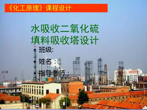 填料塔课程设计PPT课件