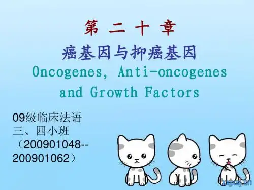 分子生物学第二十章 癌基因与抑癌基因