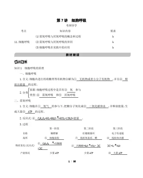 1高考生物浙江选考一轮复习讲义+提能作业：第三单元 第讲 细胞呼吸 含解析