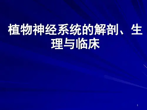 植物神经系统的解剖及临床ppt课件