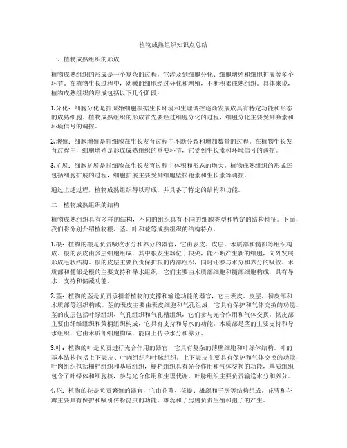 植物成熟组织知识点总结