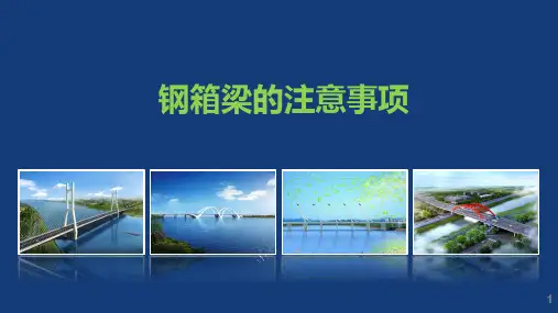 钢箱梁的注意事项-获奖版PPT课件