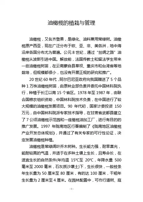 油橄榄的植栽与管理