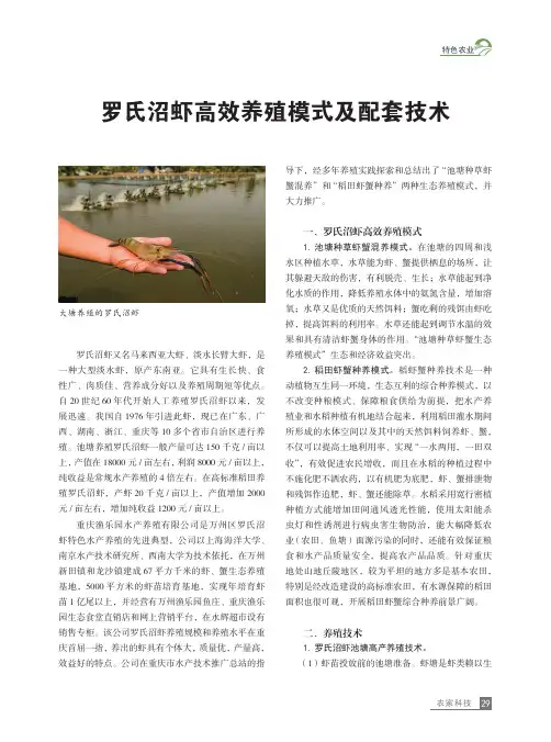 罗氏沼虾高效养殖模式及配套技术
