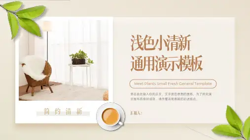 浅色小清新通用PPT模板