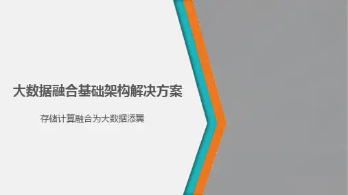 大数据融合基础架构解决方案全文