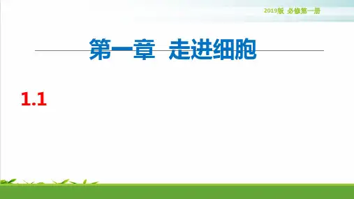 新教材人教版生物《细胞是生命活动的基本单位》PPT精品课件2