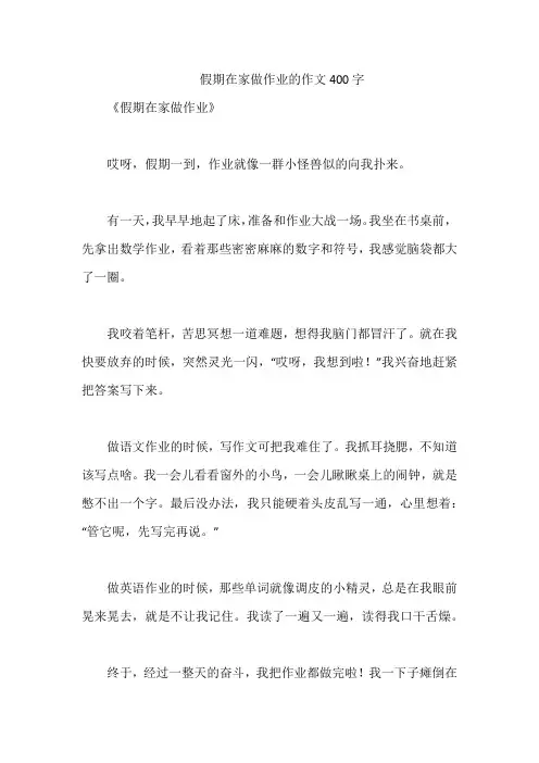 假期在家做作业的作文400字