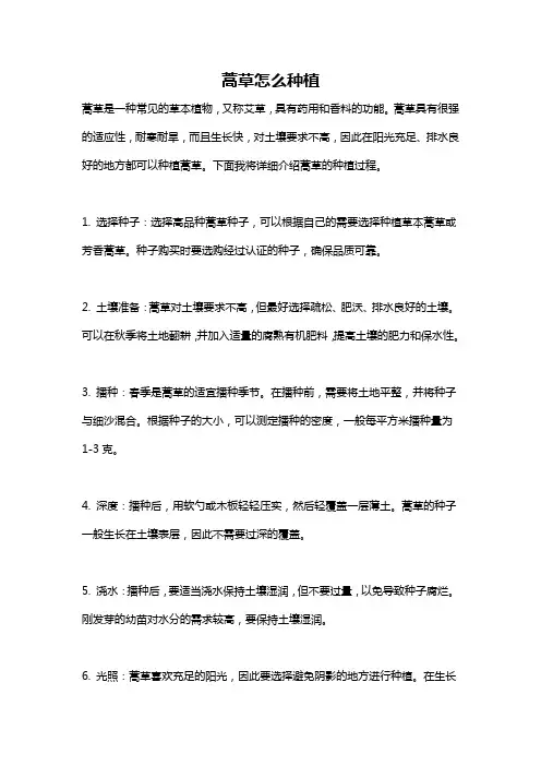 蒿草怎么种植
