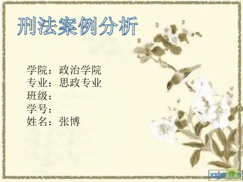刑法案例分析ppt课件-PPT课件