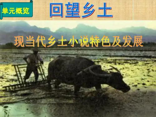 《小二黑结婚》 课件 (共45张PPT)
