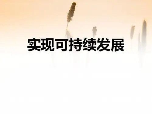 九年级下《实现可持续发展》优秀课件下载浙教版1