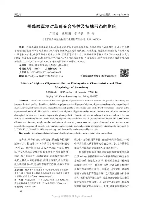 褐藻酸寡糖对草莓光合特性及植株形态的影响