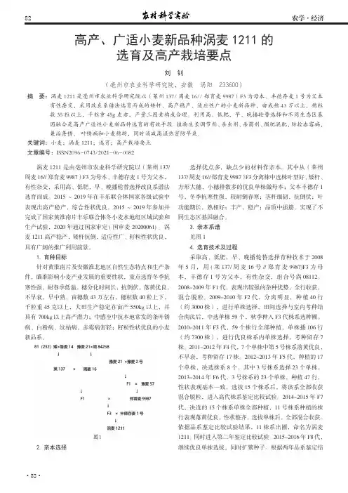 高产、广适小麦新品种涡麦1211的选育及高产栽培要点