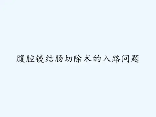 腹腔镜结肠切除术的入路问题ppt