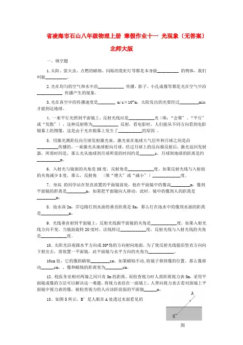 (整理版)凌海市石山初级八年级物理上册寒假作业十一光