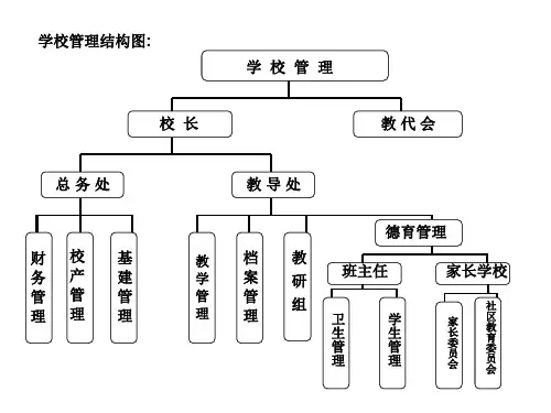 学校的组织结构图