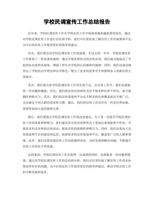 学校民调宣传工作总结报告