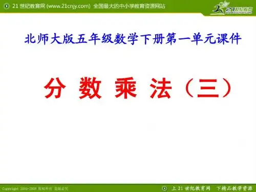 分数乘法(三)