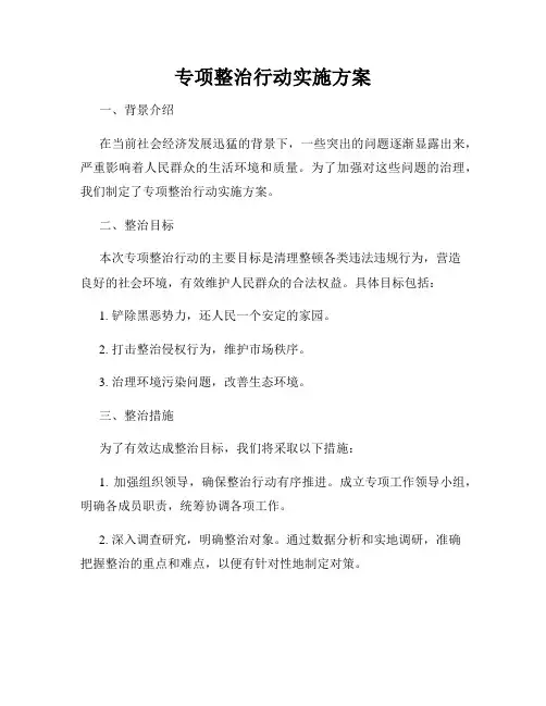 专项整治行动实施方案