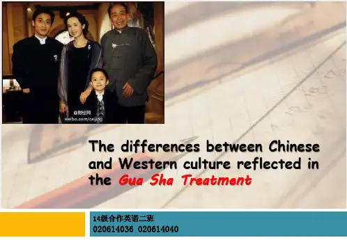 《刮痧》中显现的中西文化差异英语